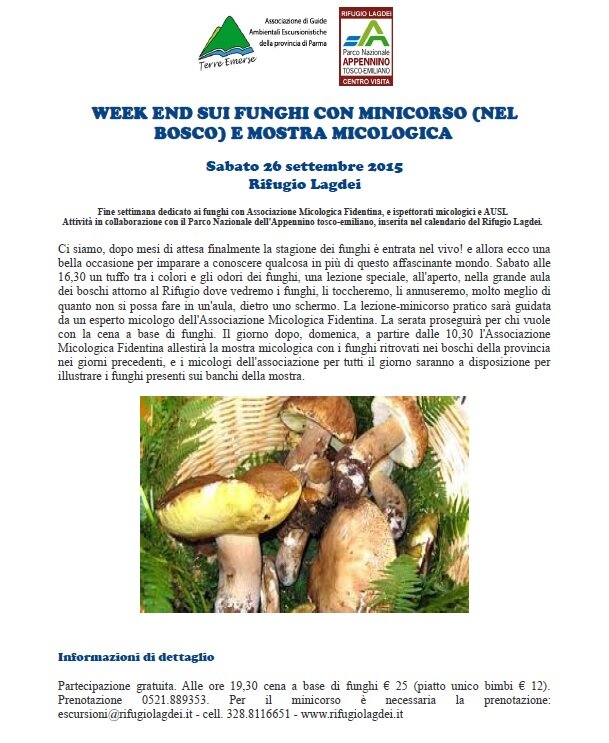 a4717f3e-1657-4e98-818f-ef4846bbe3dd