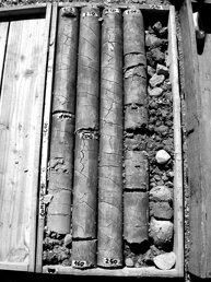 601bd0e2-4d55-4f0d-865a-4281520bc289