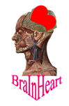 logobrainheart