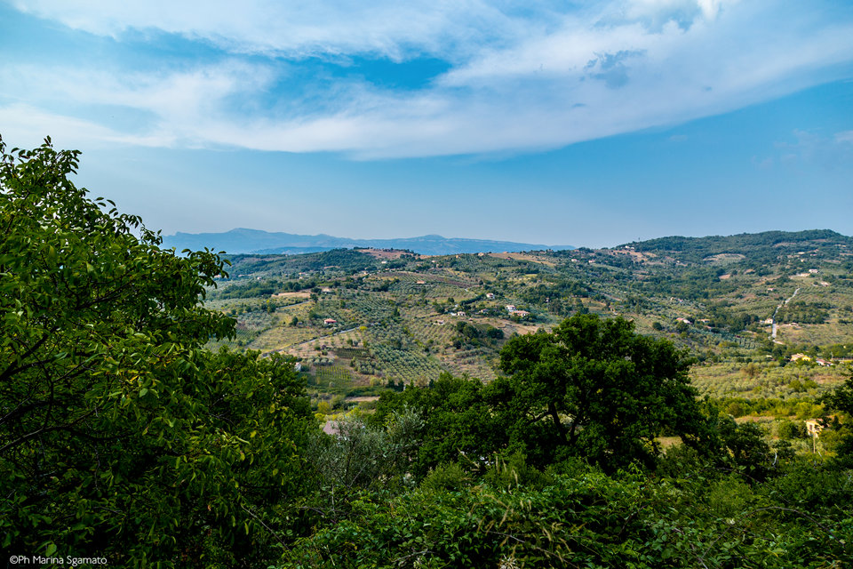 img_3034