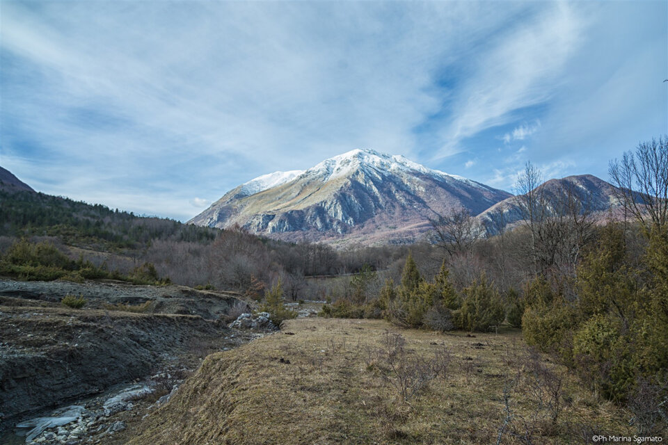 img_9951
