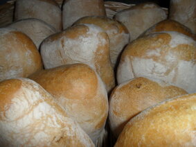 sam_2435.jpeg sam_2435.jpeg