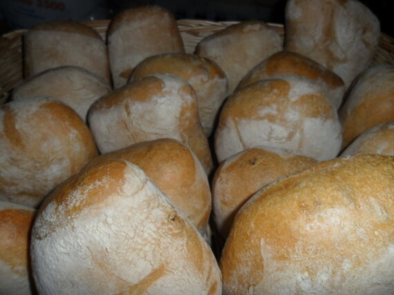 sam_2430.jpeg sam_2430.jpeg