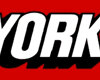 fashion%20network%20-%20logo.jpeg