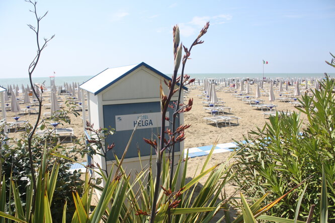 img_7824.jpeg img_7824.jpeg