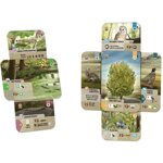 forest-shuffle-dartmoor