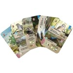 forest-shuffle-dartmoor