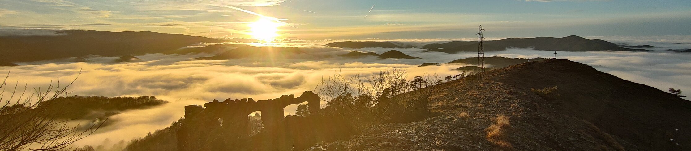 img20221222162351.jpeg img20221222162351.jpeg