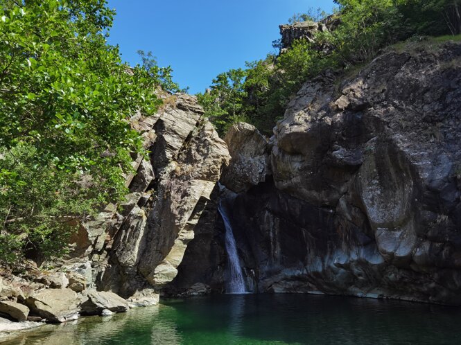 img_20210719_164307.jpeg img_20210719_164307.jpeg