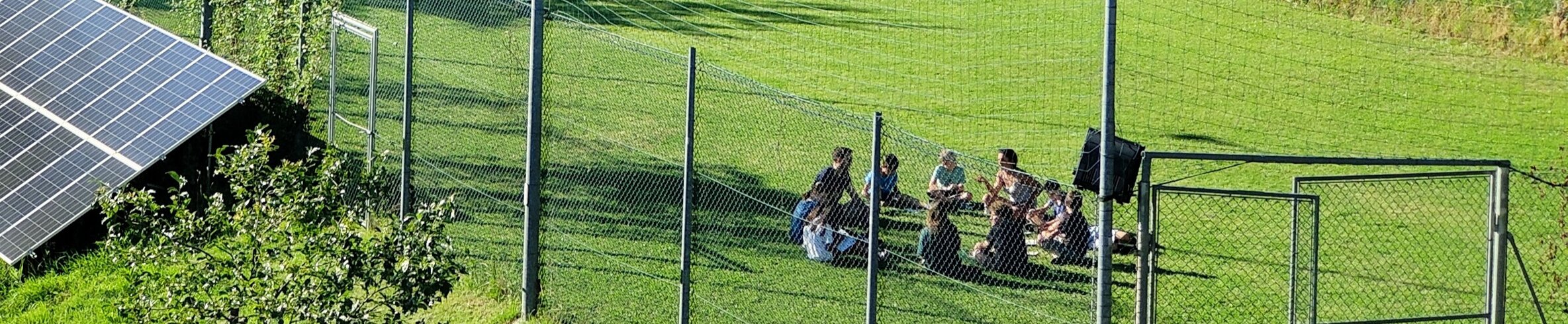 img20230702184405.jpeg img20230702184405.jpeg