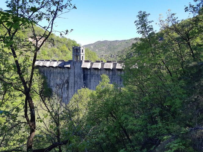 20240420_110806.jpeg 20240420_110806.jpeg