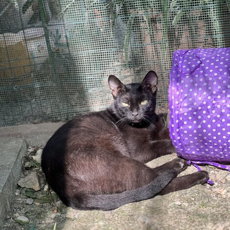 img_0604.jpeg img_0604.jpeg