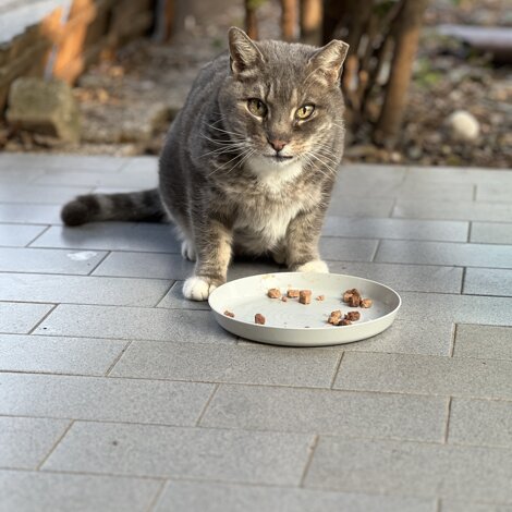 img_4409.jpeg img_4409.jpeg