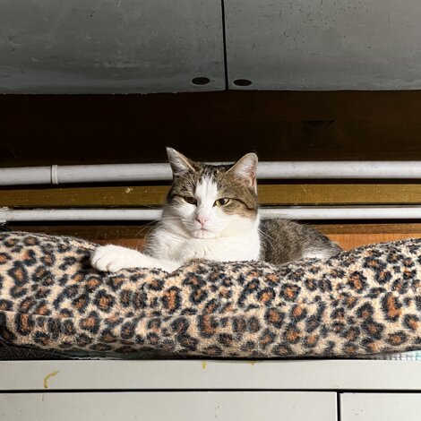 img_5823.jpeg img_5823.jpeg