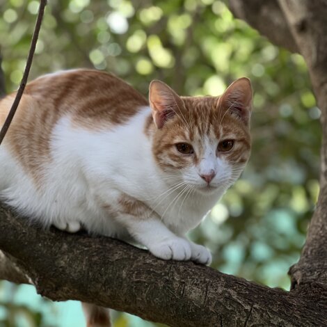 img_4398.jpeg img_4398.jpeg