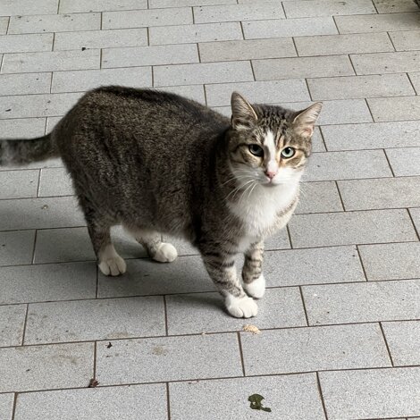 img_4088.jpeg img_4088.jpeg