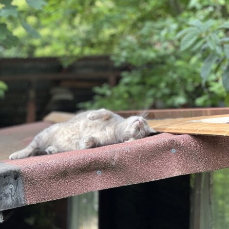 img_1153.jpeg img_1153.jpeg