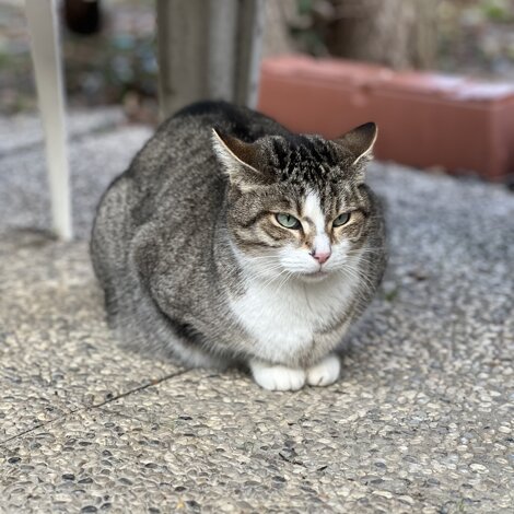 img_7626.jpeg img_7626.jpeg