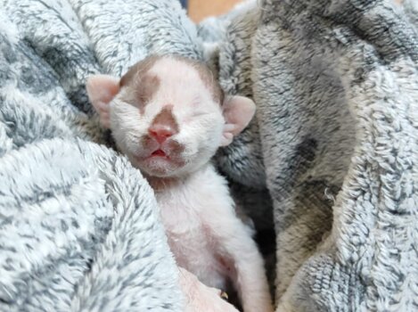 35284_a6c9f3df07b09f47b16116388d5708e2cbaf5e45