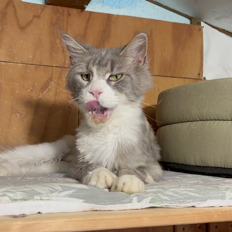 img_2383.jpeg img_2383.jpeg