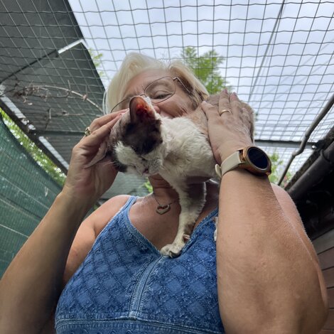 img_2309.jpeg img_2309.jpeg