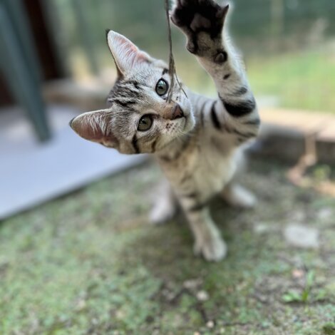 c9cf4d75-2013-4afa-bb64-14fca6eed143.jpeg c9cf4d75-2013-4afa-bb64-14fca6eed143.jpeg