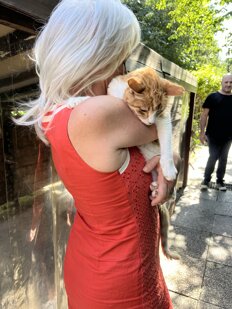 img_0605.jpeg img_0605.jpeg