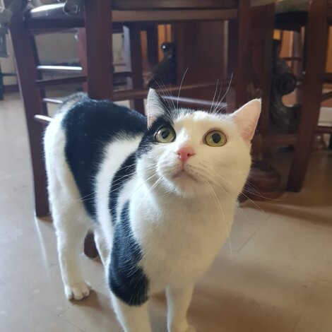 dca8ff9c-d079-4964-aaa9-0669d2c0ca48.jpeg dca8ff9c-d079-4964-aaa9-0669d2c0ca48.jpeg