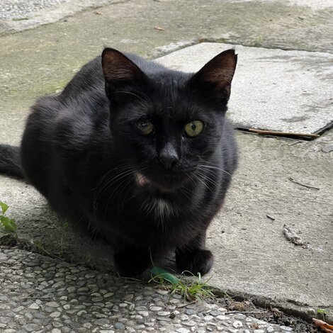 img_2301.jpeg img_2301.jpeg