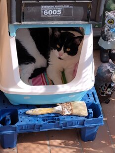 whatsapp image 2025-11-07 at 10.09.37.jpeg whatsapp image 2025-11-07 at 10.09.37.jpeg