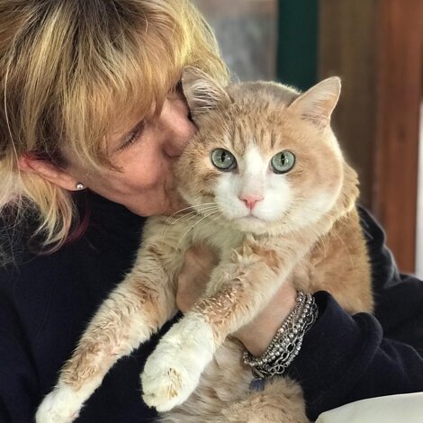 img_5162.jpeg img_5162.jpeg