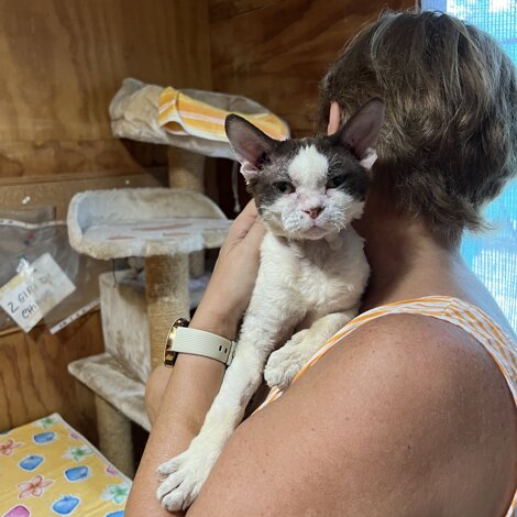 img_1580.jpeg img_1580.jpeg