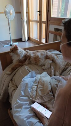 whatsapp image 2025-10-18 at 10.24.27.jpeg whatsapp image 2025-10-18 at 10.24.27.jpeg