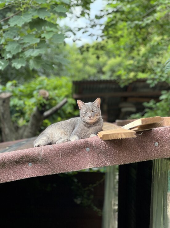 img_5822.jpeg img_5822.jpeg