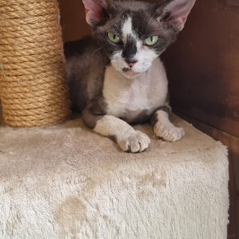 7bb1808c-d726-44f9-93fe-d3a93ec6545f.jpeg 7bb1808c-d726-44f9-93fe-d3a93ec6545f.jpeg