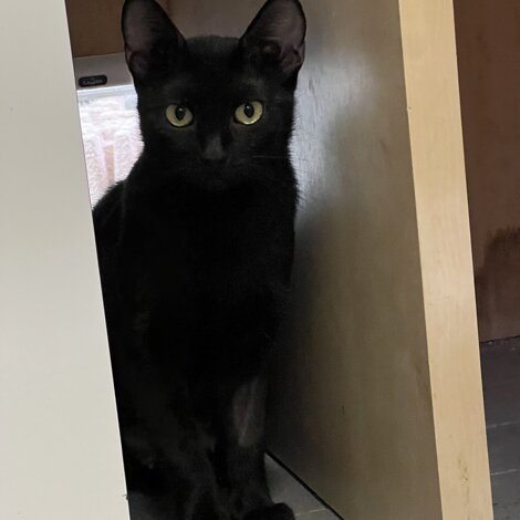 img_4655.jpeg img_4655.jpeg