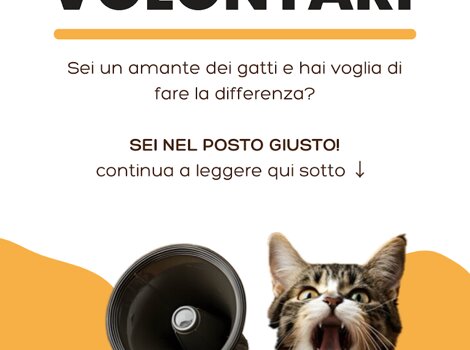 35284_0752a7c4822de3223e5e80fa83fab2efd729a638