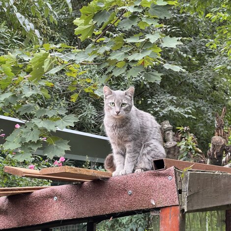 img_0311.jpeg img_0311.jpeg