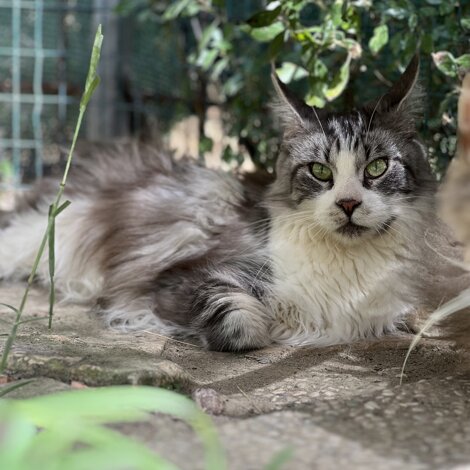 img_7854.jpeg img_7854.jpeg