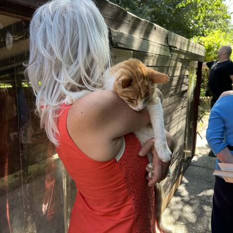 img_4409.jpeg img_4409.jpeg