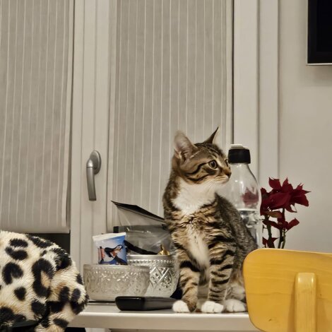 67990852-bb6e-4996-8588-3ea6ce5a69e2.jpeg 67990852-bb6e-4996-8588-3ea6ce5a69e2.jpeg