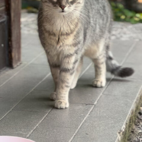 img_4127.jpeg img_4127.jpeg