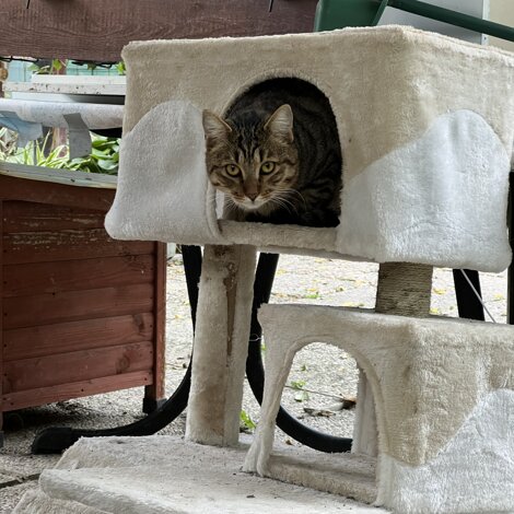 img_5953.jpeg img_5953.jpeg