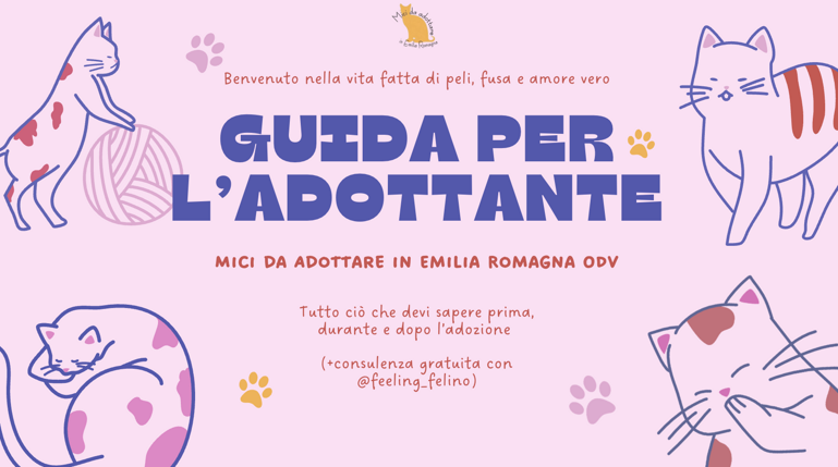 screenshot 2026-02-14 at 17.44.27 screenshot 2026-02-14 at 17.44.27