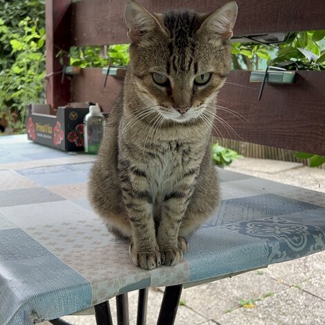 img_4641.jpeg img_4641.jpeg