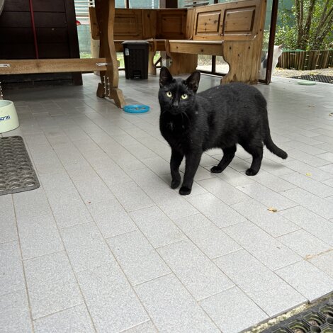 img_1178.jpeg img_1178.jpeg