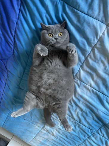 whatsapp image 2025-12-15 at 09.01.55.jpeg whatsapp image 2025-12-15 at 09.01.55.jpeg