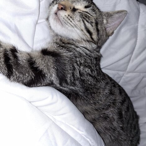 3ebaa980-1183-4db4-968e-d4dcc85cd235.jpeg 3ebaa980-1183-4db4-968e-d4dcc85cd235.jpeg