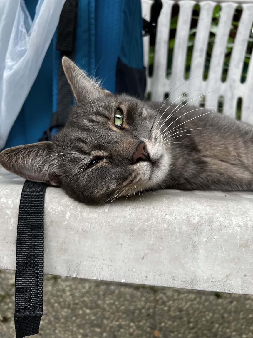 img_6477.jpeg img_6477.jpeg