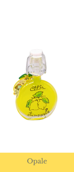 cuore%20t.m. cuore%20t.m.